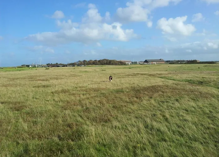 Apartamento Haus-sylter-welle-042-wb *